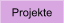 Projekte